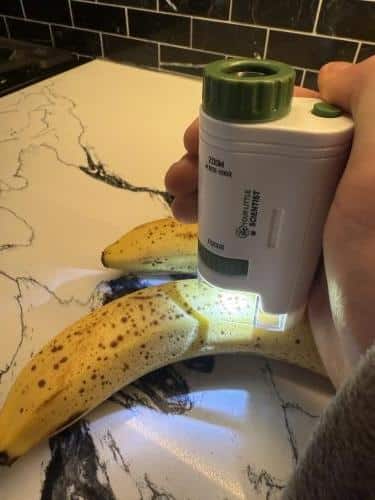 Une main tient un petit microscope au-dessus d'une banane mûre sur une surface à motifs de marbre, avec une lumière éclairant un point sur la peau, comme si elle explorait les merveilles sensorielles du kit sensoriel de la nature.